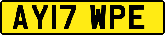 AY17WPE