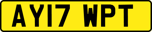 AY17WPT