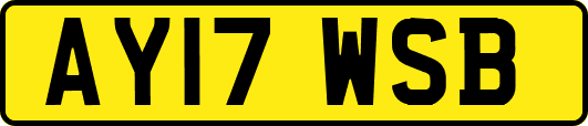 AY17WSB