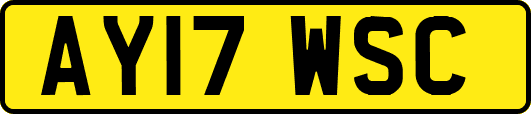 AY17WSC