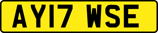 AY17WSE