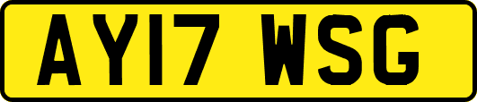 AY17WSG
