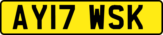 AY17WSK