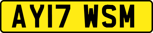 AY17WSM
