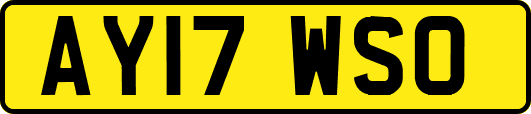 AY17WSO