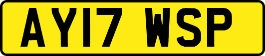 AY17WSP