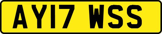 AY17WSS