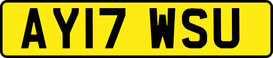 AY17WSU