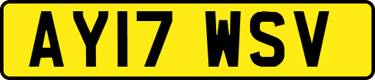 AY17WSV