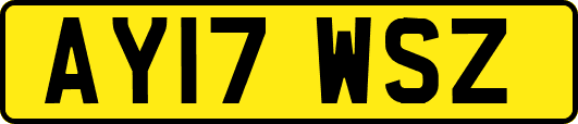 AY17WSZ