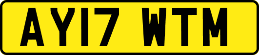 AY17WTM