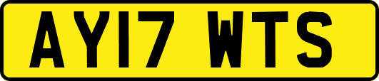 AY17WTS