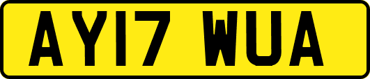 AY17WUA