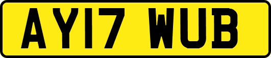 AY17WUB