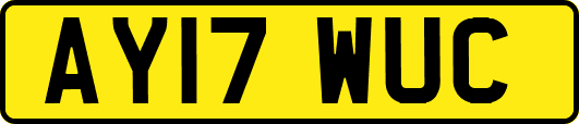 AY17WUC