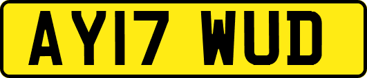 AY17WUD
