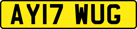 AY17WUG