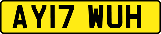 AY17WUH
