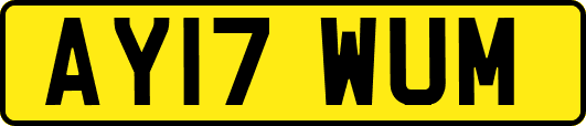 AY17WUM