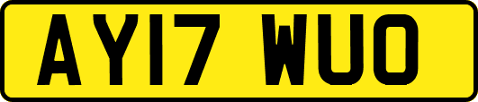 AY17WUO