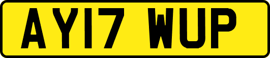AY17WUP