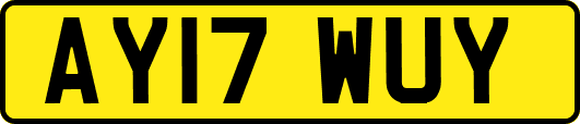 AY17WUY