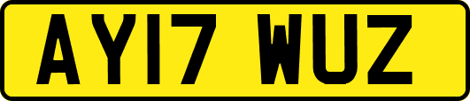 AY17WUZ
