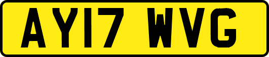 AY17WVG
