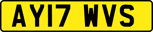 AY17WVS