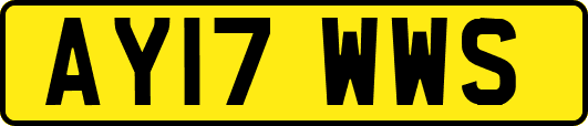 AY17WWS