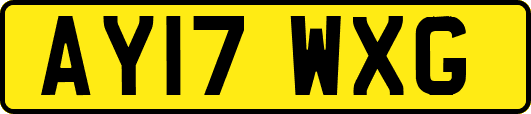 AY17WXG