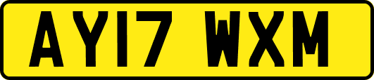 AY17WXM