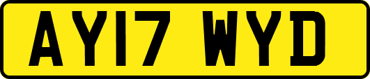 AY17WYD