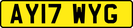 AY17WYG