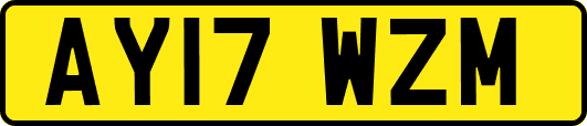 AY17WZM