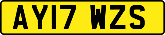 AY17WZS