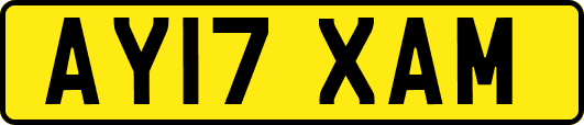 AY17XAM