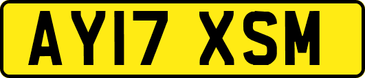 AY17XSM