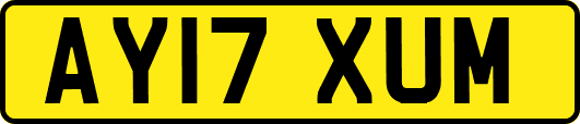 AY17XUM