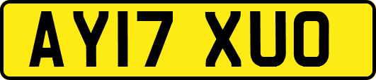 AY17XUO