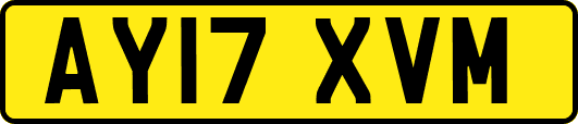 AY17XVM
