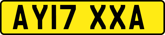 AY17XXA
