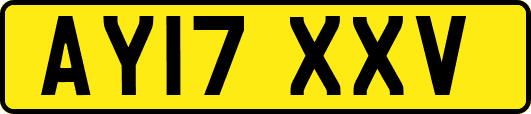 AY17XXV