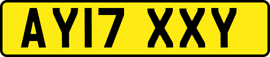 AY17XXY