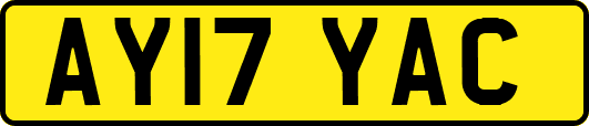 AY17YAC