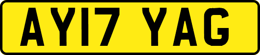 AY17YAG