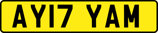 AY17YAM