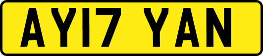 AY17YAN