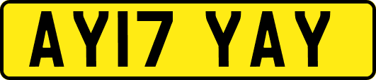 AY17YAY