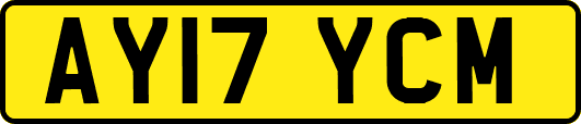 AY17YCM